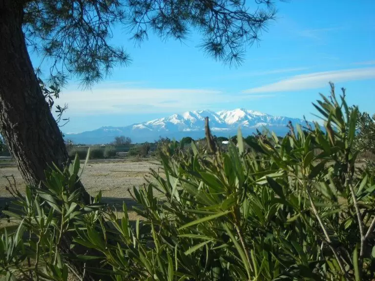 Canigou (vu du Mas Roussillon)