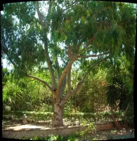 image9